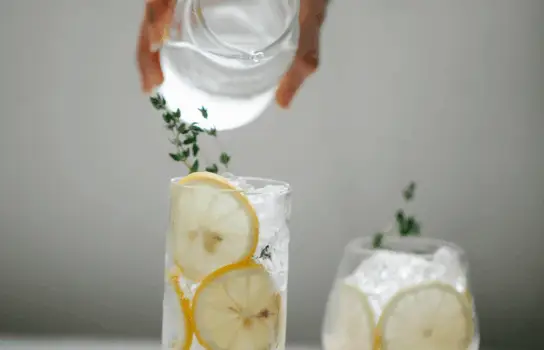 🌿 Kurs: Detox-Wegbegleitung nach Anthony William